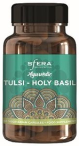 Tulsi Holy Basil